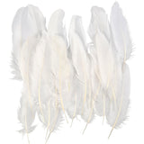 Plumes, blanc, 350 pièce/ 1 Pq.