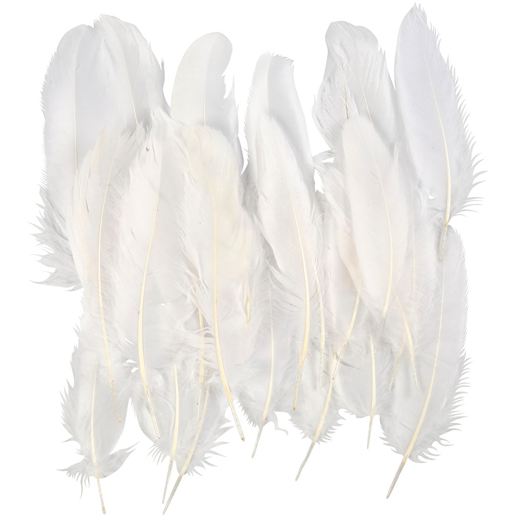 Plumes, blanc, 350 pièce/ 1 Pq.