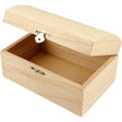 Treasury of Empress tree, 165x110x85mm, innersize 150x95x50mm 