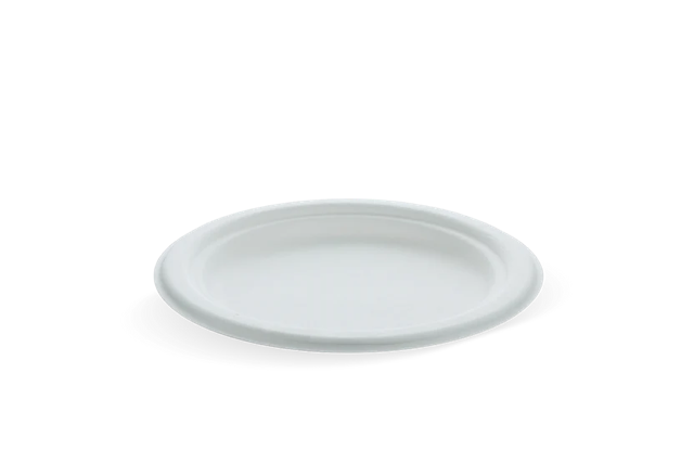 Assiette en Canne à Sucre Ø17.5cm | 1.000  pcs