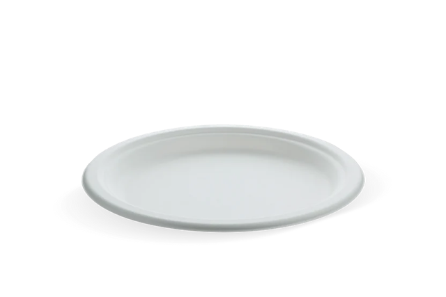 Assiette en Canne à sucre Ø22.5cm | 500  pcs