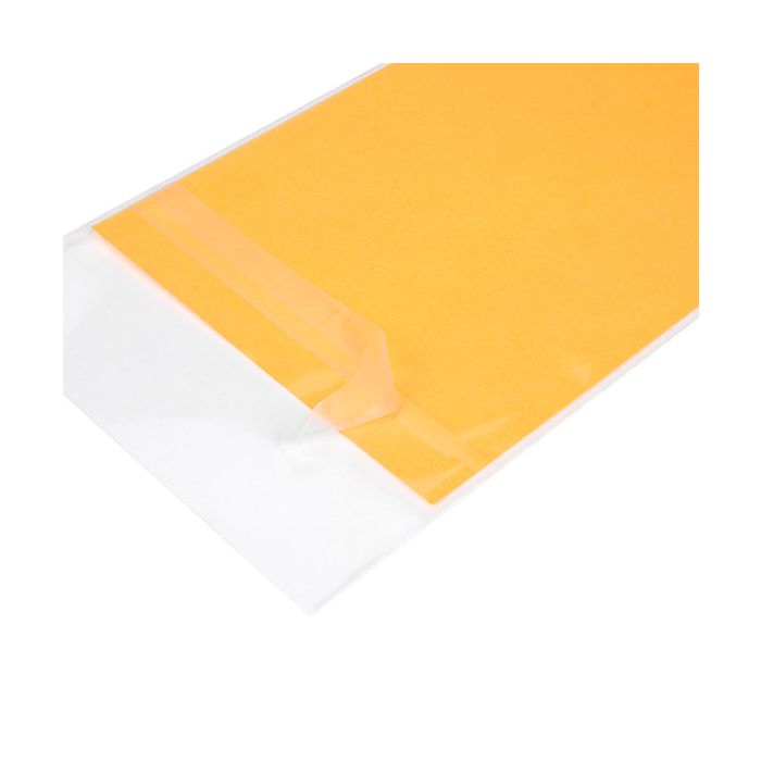 Sachet écologique 10.2x19.1 cm à rabat adhésif - 100 pieces