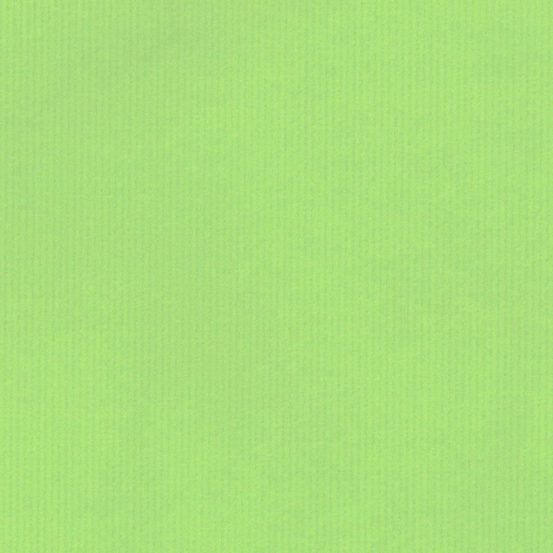 White kraft wrapping paper on a roll Light green 50cm wide (1 pc.) [FP