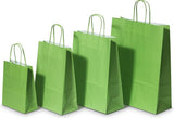 Paper Carry Bags Green 320+120x410mm 