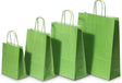Paper Carry Bags Green 260+120x350mm 