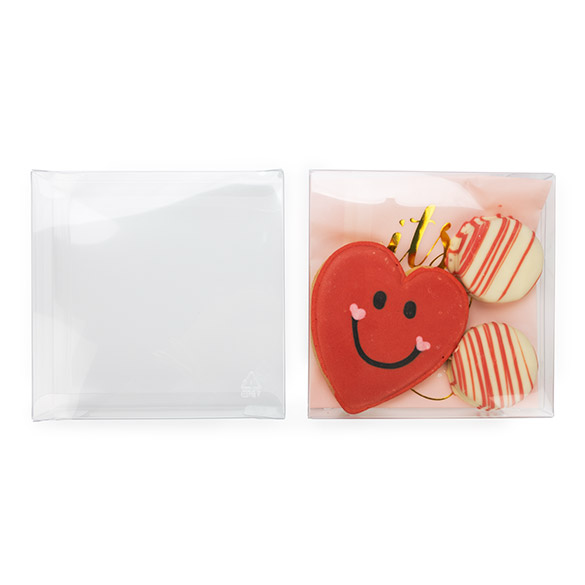 rPET Boîte Cristal Transparente 13x2,5x12,9cm - 25 pcs
