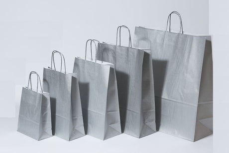 Paper Carry Bags Silver 220+100x310mm 