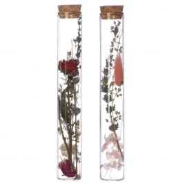 Glass tube with 2 different dried flowers Ø3cm (12 pcs.) [IFS-29344]