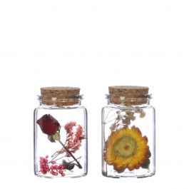 Glass tube with 2 different dried flowers Ø4.5cm (12 pcs.) [IFS-29345]