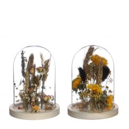 Glass jar with dried flowers natural Ø10cm (1 pcs.) [IFS-29833]