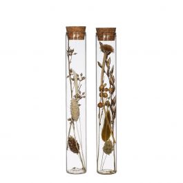 Glass tube with several dried flowers natural 20cm high (12 pcs.) [IFS-30344]