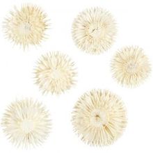 Fleurs séchées, P: 3-5 cm - 6 pcs