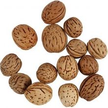 Noix, 25 g
