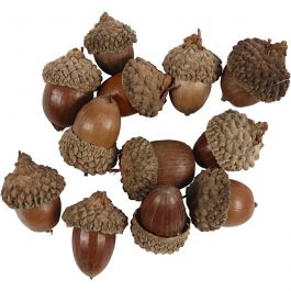 Gland - 12 pc