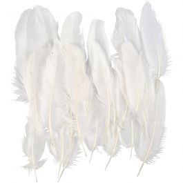 Plumes, blanc - 350 pièce